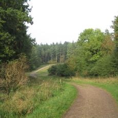 Rockingham Forest
