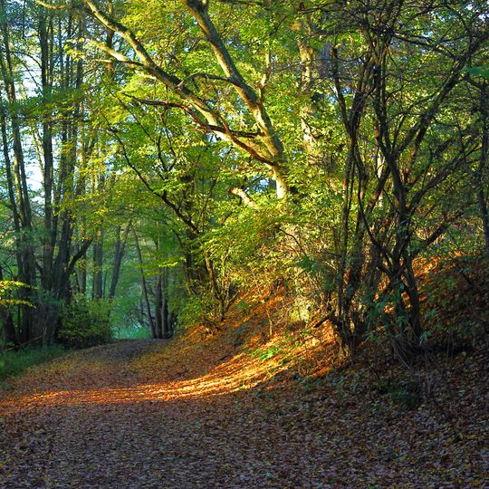 Krebsbachtal bei Ruppertshain