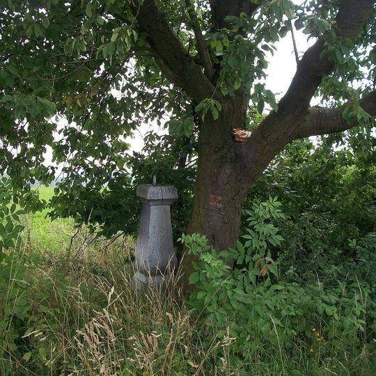 Kříž u cesty nad Puclicemi