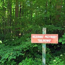 Rezerwat przyrody Kalinowo