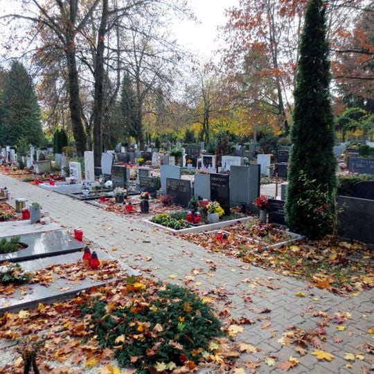 Žale Central Cemetery