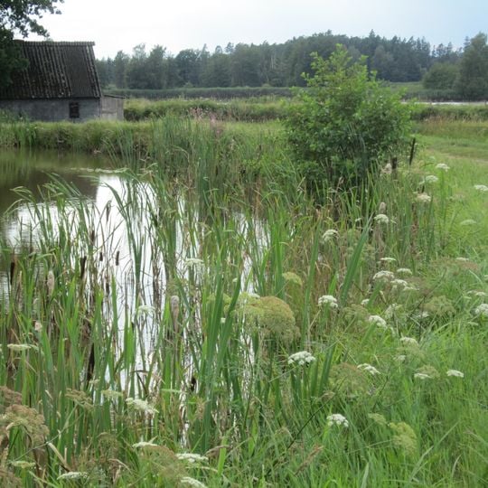 Tirschenreuther Teichpfanne