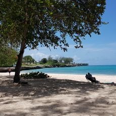 Miami Beach, Barbados
