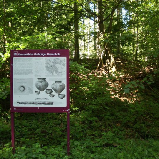 Heizenholz iron age burial mound