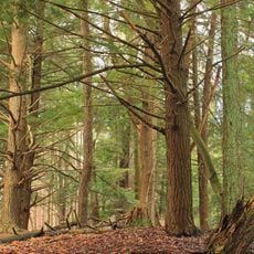 Parker Dam State Park