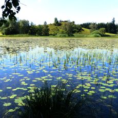 Widdumer Weiher