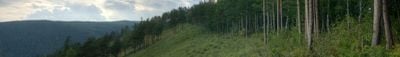 Vue panoramique 4