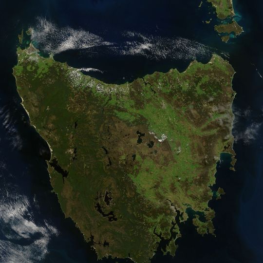 Tasmanien