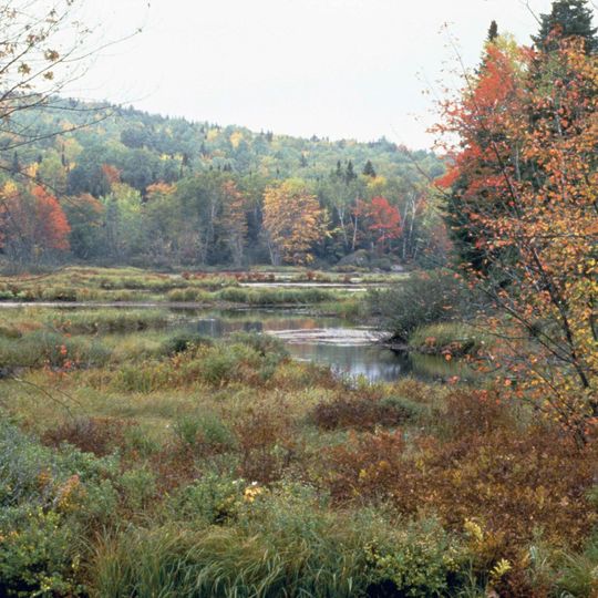 Refuge faunique national Umbagog