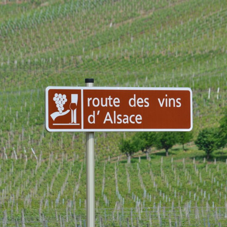Alsatian Vineyards Route