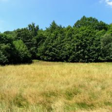 Loučenská hornatina