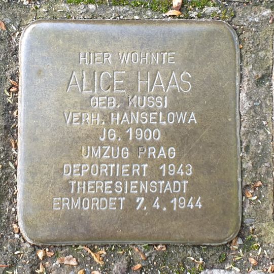 Stolperstein dedicated to Alfred  Haas