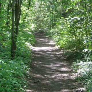 Natchez Trace Trail