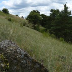 Biskoupská hadcová step