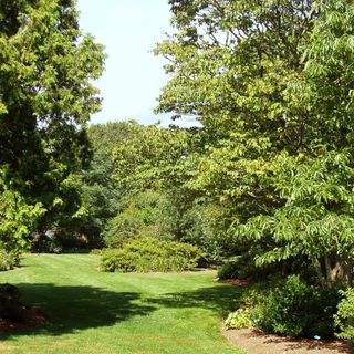 Arboreto y jardín botánico de la universidad de Rhode Island