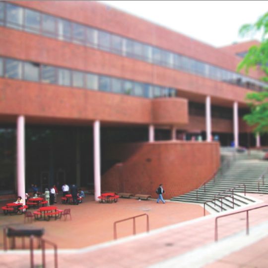 York College