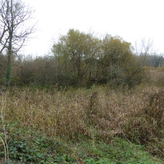 Woolhampton Reed Bed