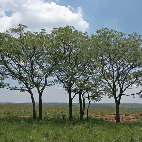 Rhenosterpoort Nature Reserve