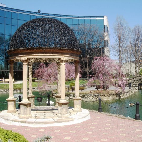 Salus University