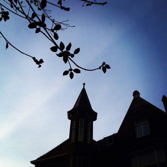 Wilhelminapark 124, Tilburg