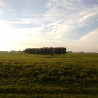 Departamento de Flores