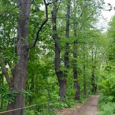 Lindenallee und Schlosshang Wiesenburg