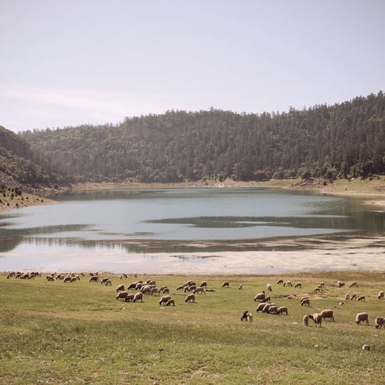 Parco nazionale di Khénifra