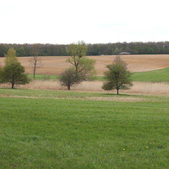 Rodachaue mit Bischofsaue westlich Bad Rodach