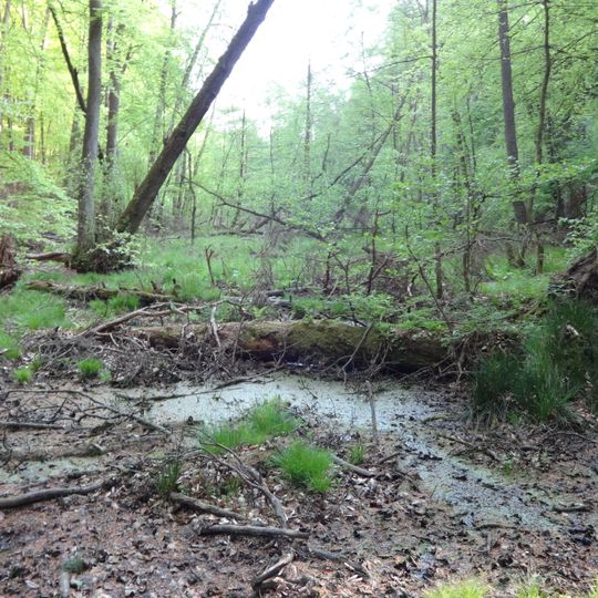 Krüselinsee und Mechowseen