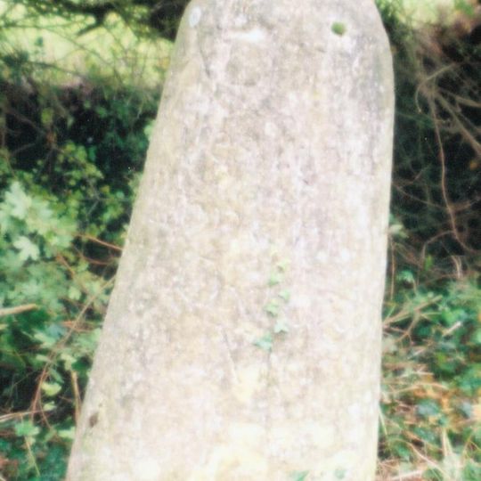 Milestone At Sp 6786 0246