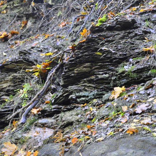 Maarjamäe limestone shore