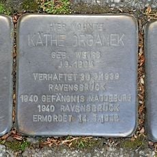 Stolperstein für Moritz Organek