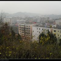 Dongxing District