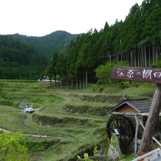 Kashihara no Tanada