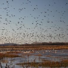 Clarence Cannon National Wildlife Refuge