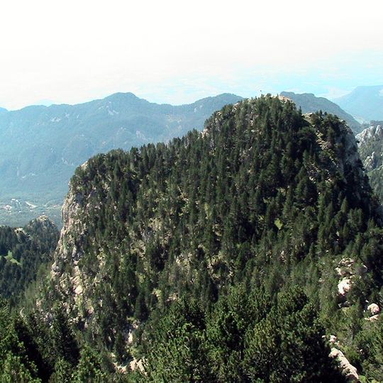 Roca d'Auró