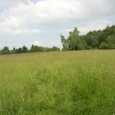 Hradišťanská louka