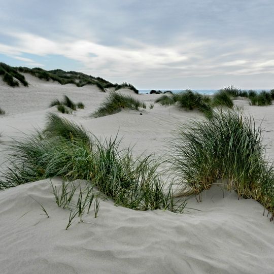 Ynyslas Sand Dunes