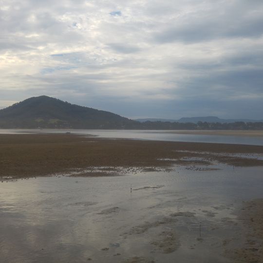 Coolangatta Mountain
