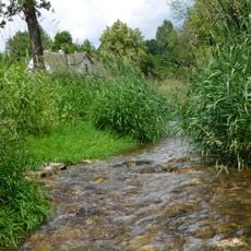 Luční potok v Podkrkonoší