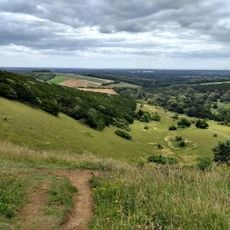 Kingley Vale National Nature Reserve