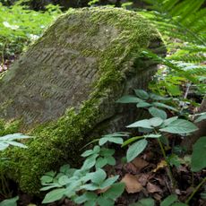 Cmentarz ewangelicki w Żerzynie