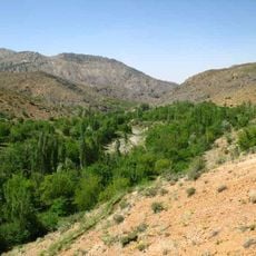 Kuh Rud and Eastern Iran montane woodlands