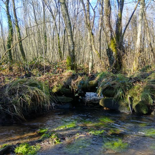 Pontella no Portalece