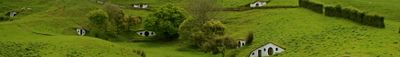 Panoramic View 1