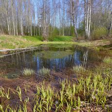 Tohkri Ilmamäe Spring