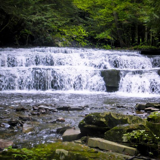 Christman Bird and Wildlife Sanctuary