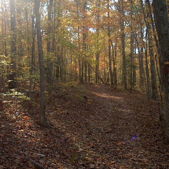 Parc d'État de Medoc Mountain
