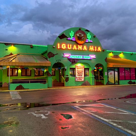 Iguana Mia