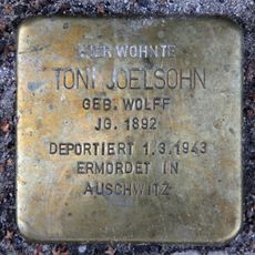 Toni Joelsohn